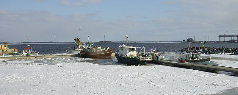 Avovett&auml;