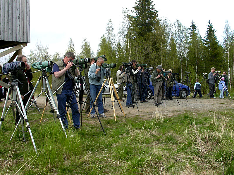 Kaspiantylli