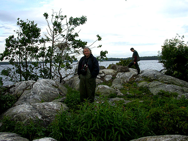 Pesill&auml;