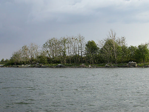 Naapurisaari