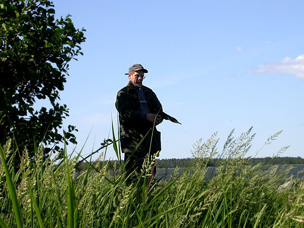 Rengastaja