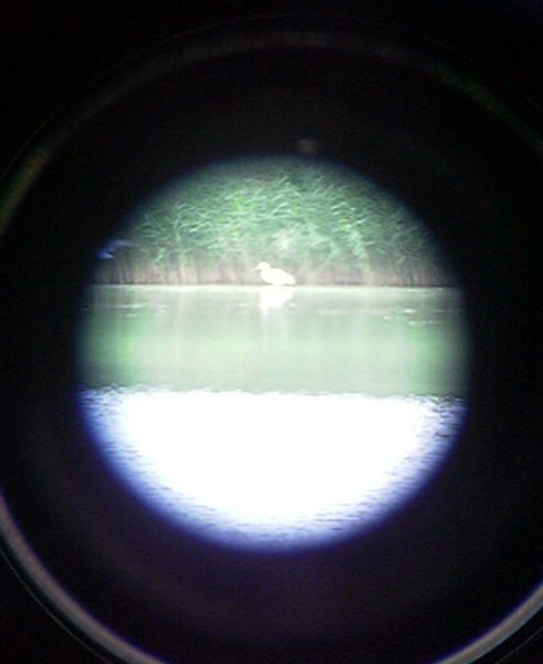 Phonescoping