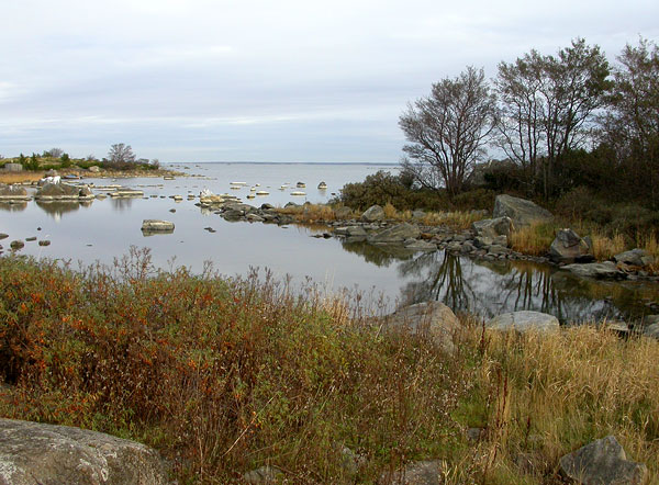 Laguuni