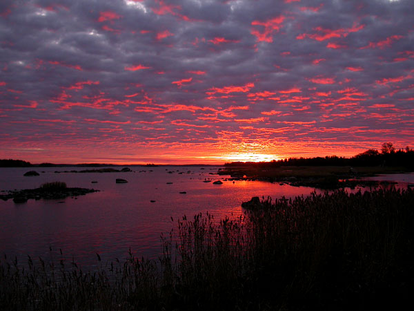 Auringonnousu