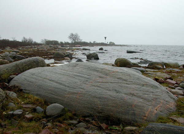 Nettikahvila