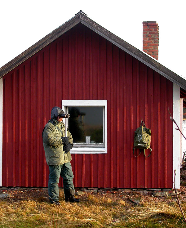 Staiji kalak&auml;mp&auml;n suojassa