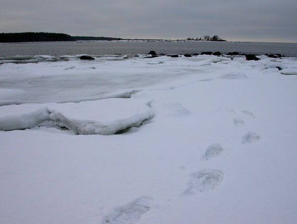 BRH tain SHM j&auml;ljet