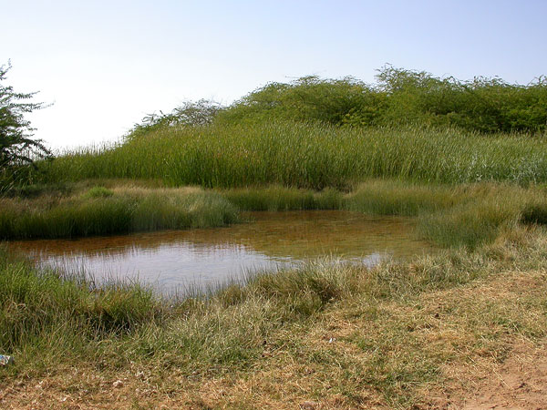 Keidas