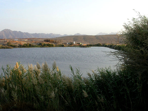 Al Ansab Laguuni