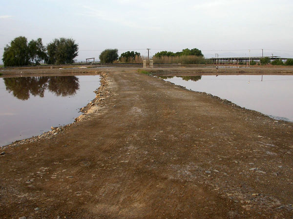 Sun Farmin altaat