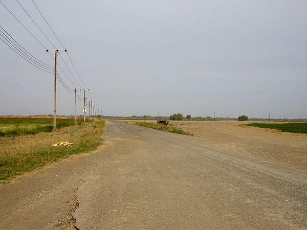 Sun Farmin peltoja