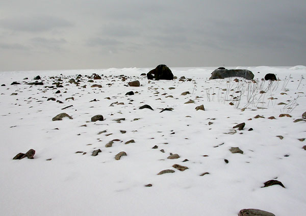 Matinkari