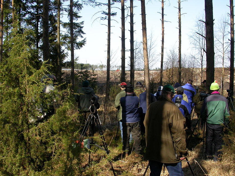 Porukka mets&auml;ss&auml;