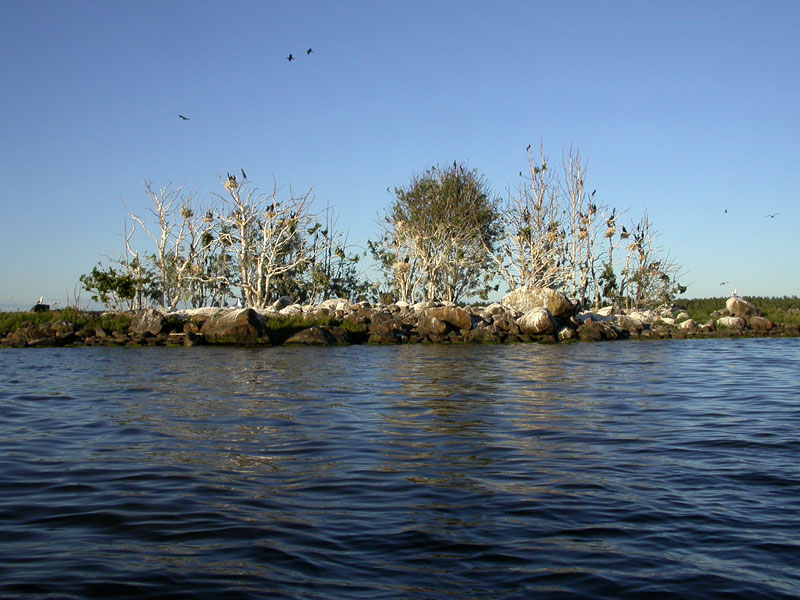 Merimetsosaari 2