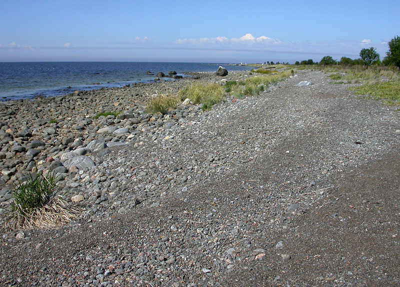 Etel&auml;ranta'