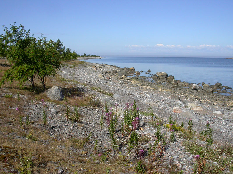 Pohjoisranta