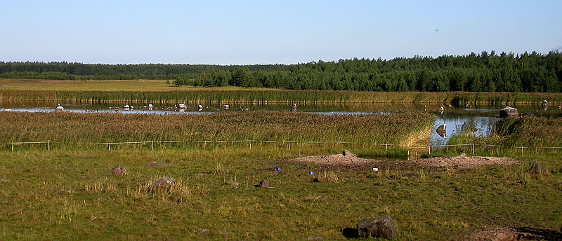 Leve&auml;karin laguuni