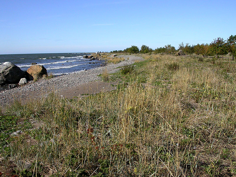Etel&auml;ranta