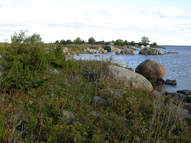 Steenkumppoosi