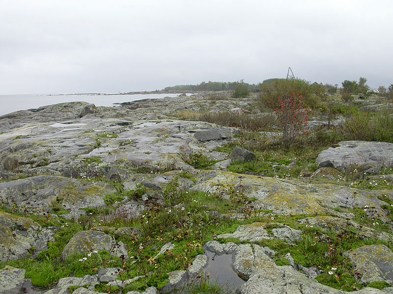 Etel&auml;k&auml;rki