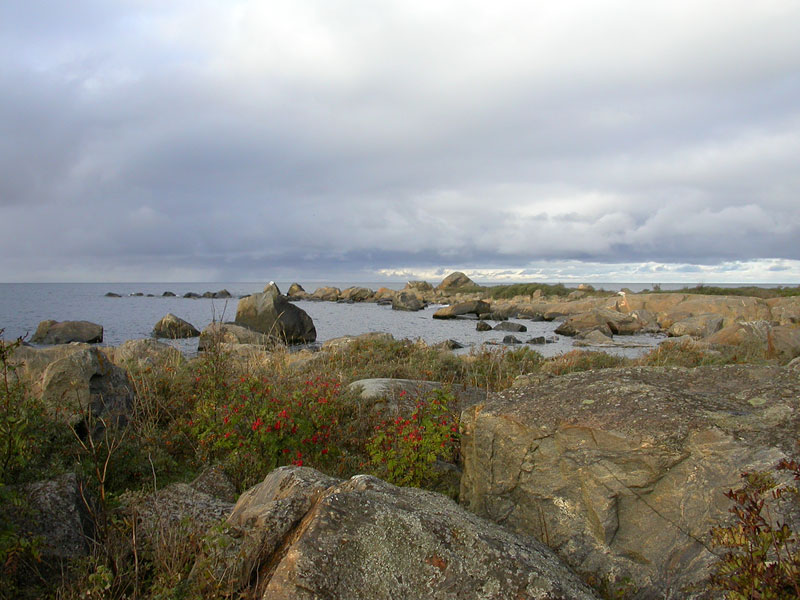 L&auml;nsik&auml;rki