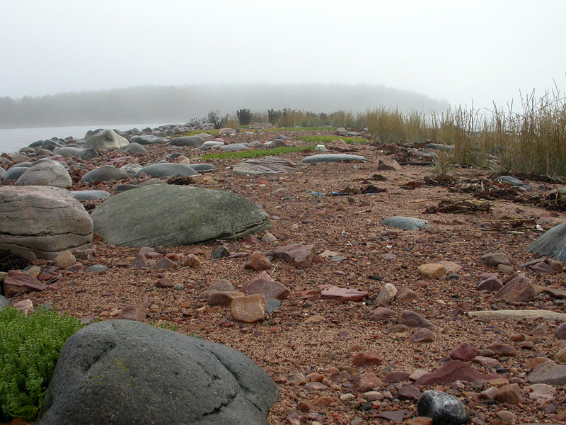 S&auml;rkk&auml;