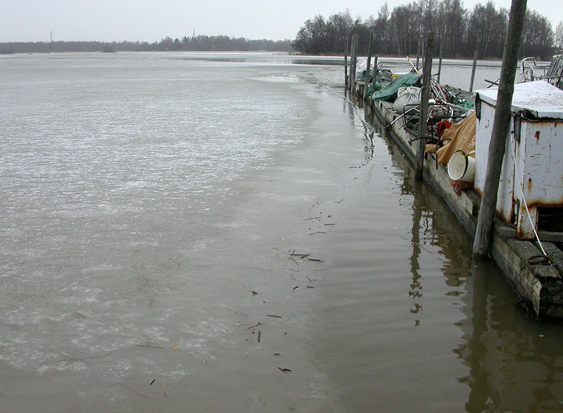 Romulaituri
