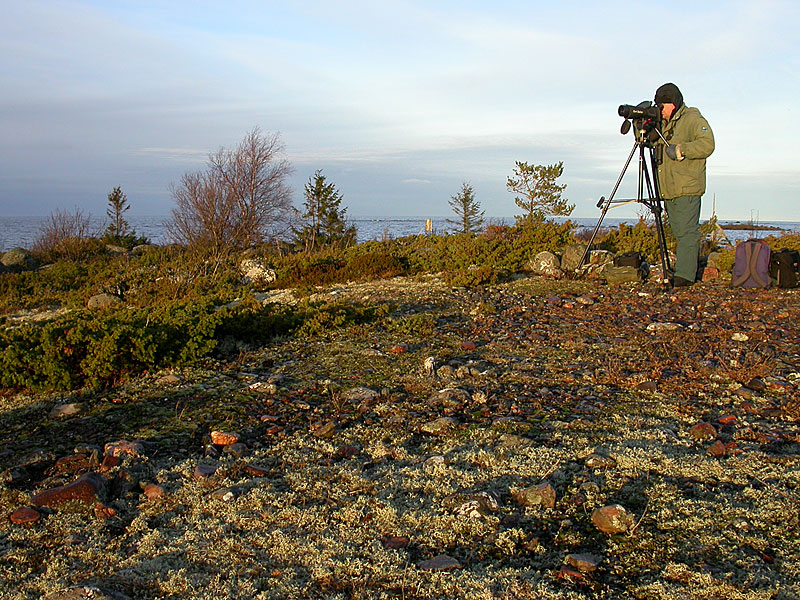 SHM staijjaa