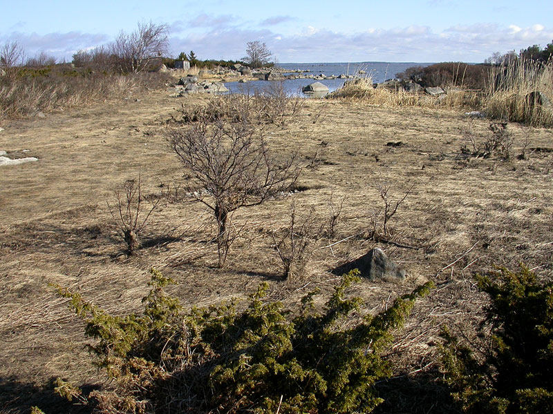 Talvi siivonnut