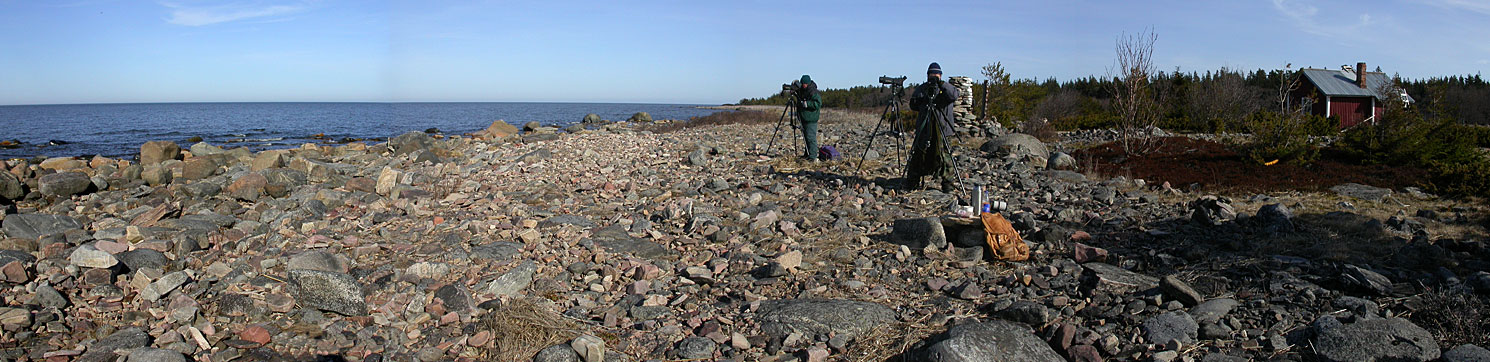 Haminakarin staijjipaikka