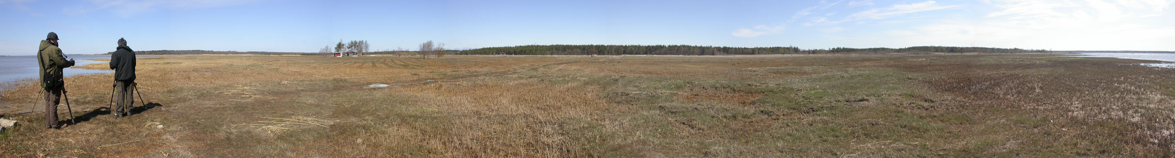 Etelärannan niitty Etelärannan niitty