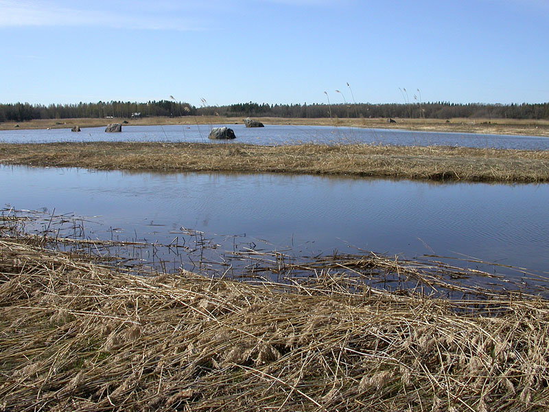 Riitsaranlahti Riitsaranlahti