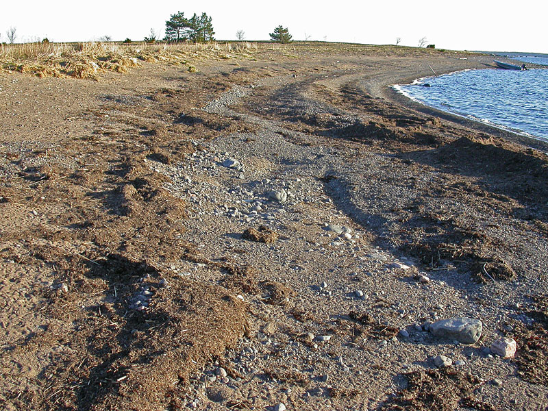 It&auml;ranta