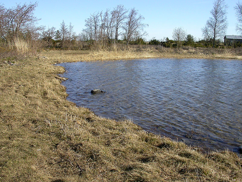 Laguunin pohjukka