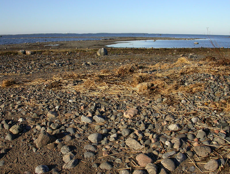 It&auml;riutta
