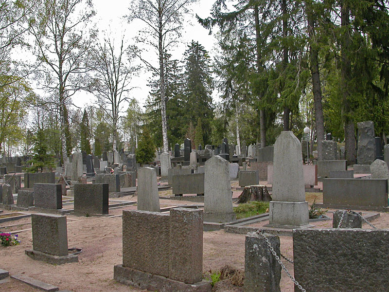 Linnun laulupuu