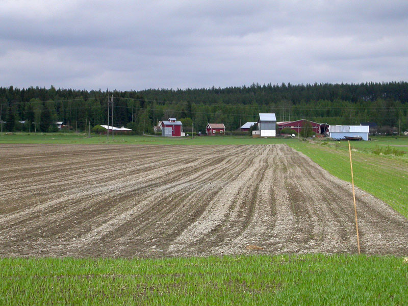 Leisil&auml;nj&auml;rven paikka