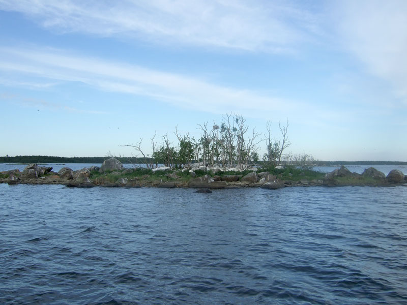 Saari 2