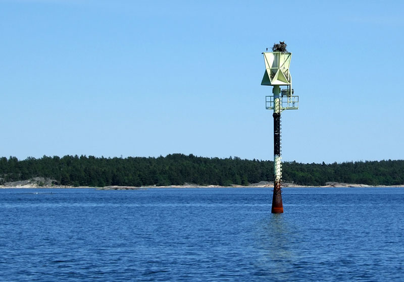 Kalasääsken pesä Kalasääsken pesä