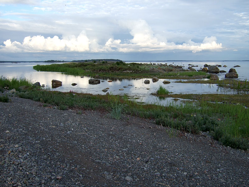 Etel&auml;riutta