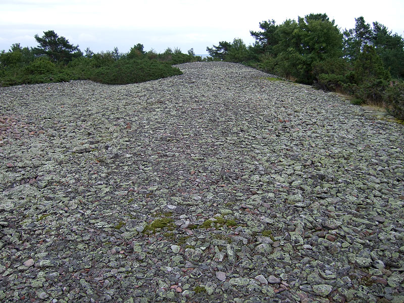 Kataviston pirunpelto