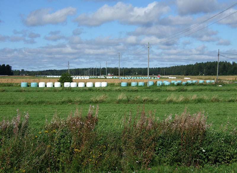 Staijjipaikka