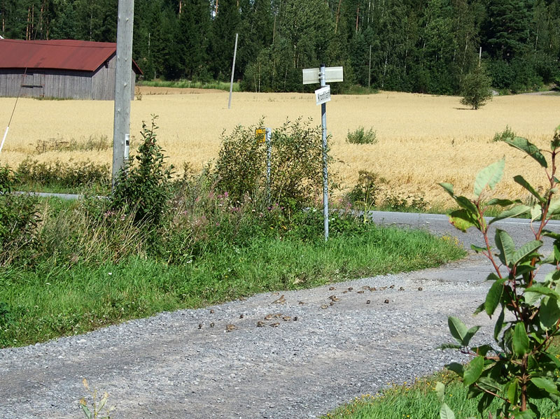 Risteym&auml;parvi tiell&auml;