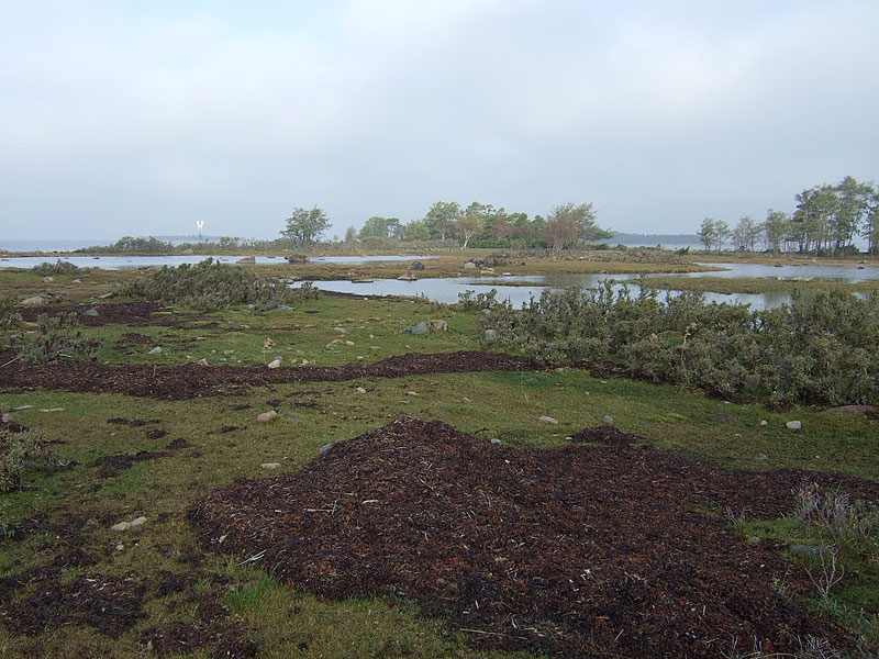 K&auml;rjen niityt, hauru ja laguunit