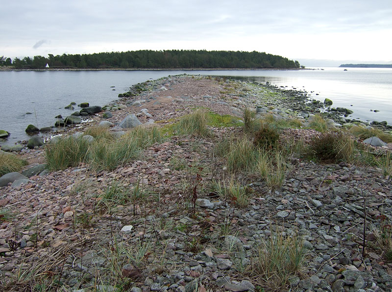 Trutholman riutta