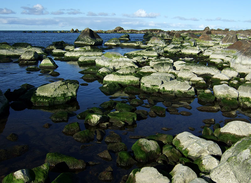 Merivesi alhaalla