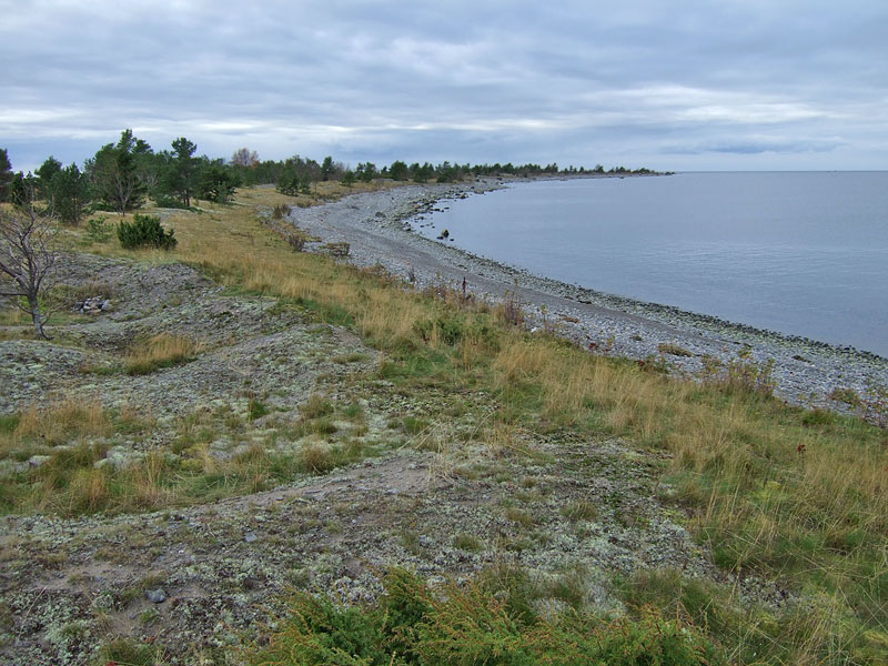Revelin pohjoisranta