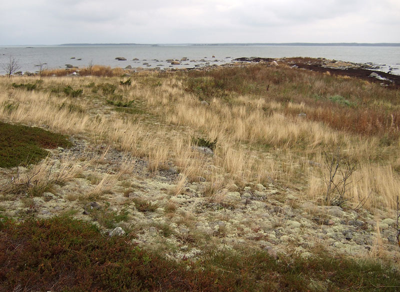 Domarkobbanin pohjoisk&auml;rki