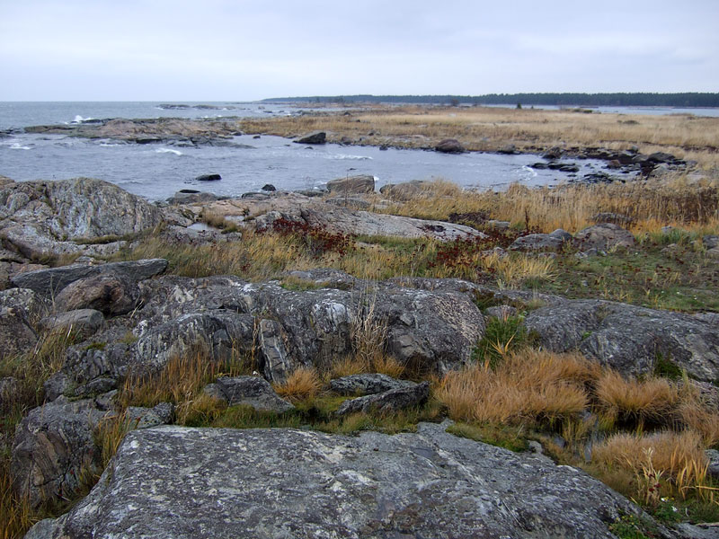 Trutklobbarnan pohjoisk&auml;rki