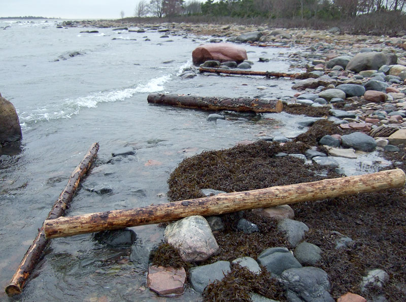 Kuuminainen